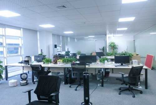 福建塑料滚珠护栏批量定制